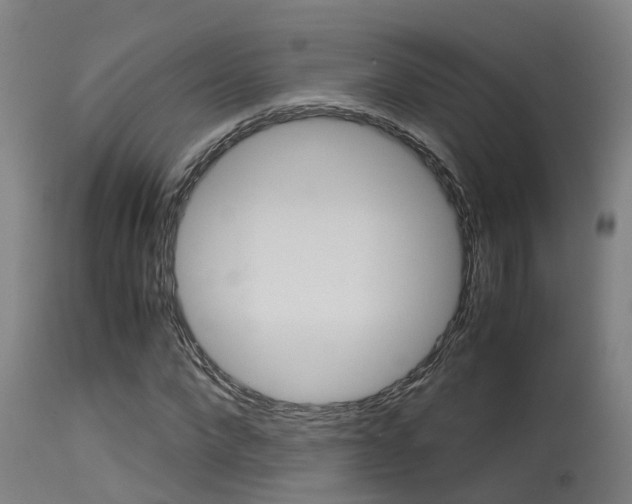 X0000115580872200911100951