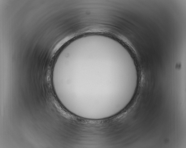 X0000115580874200911100951