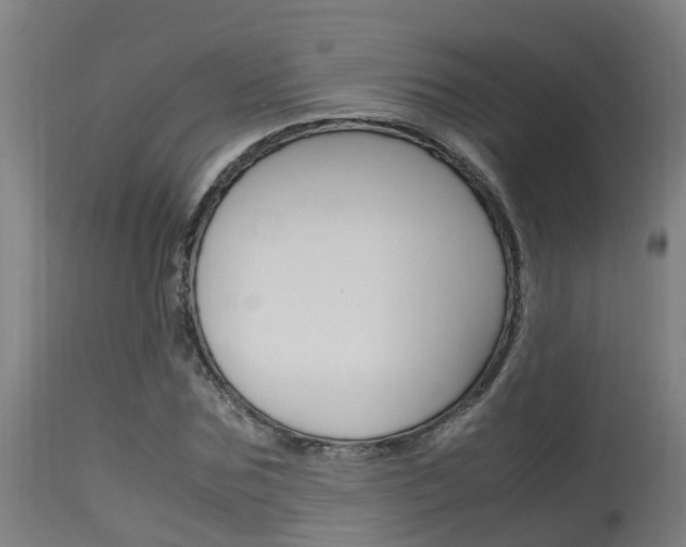 X0000115580875200911100951