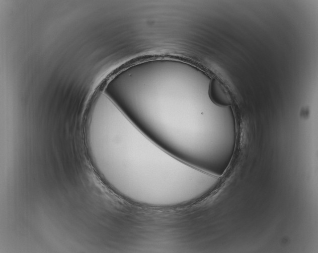 X0000115580876200911100951