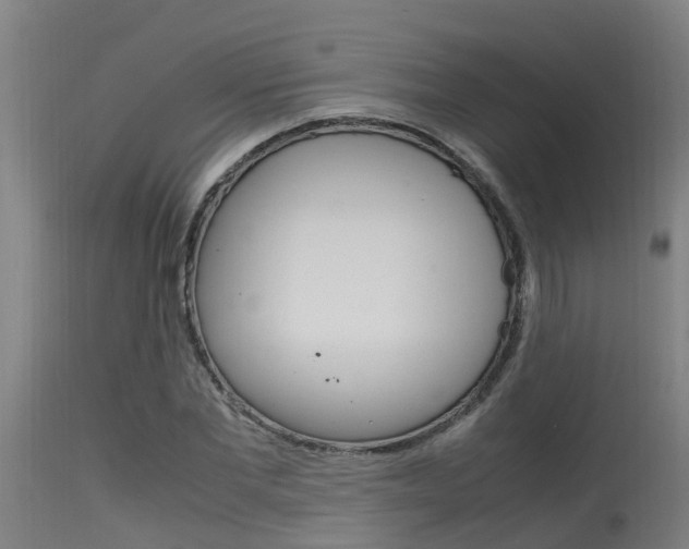 X0000115580877200911100951