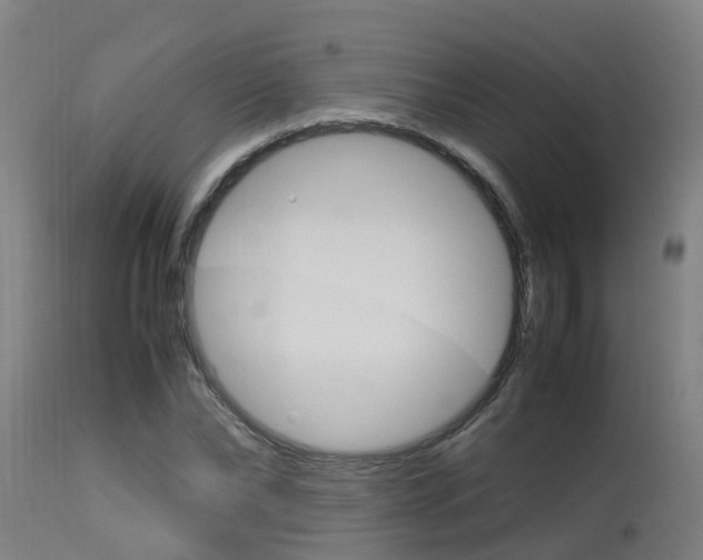 X0000115580878200911100951