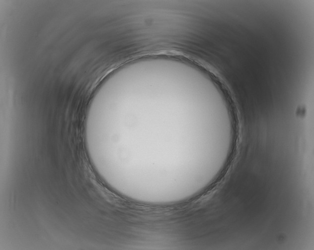 X0000115580881200911100951