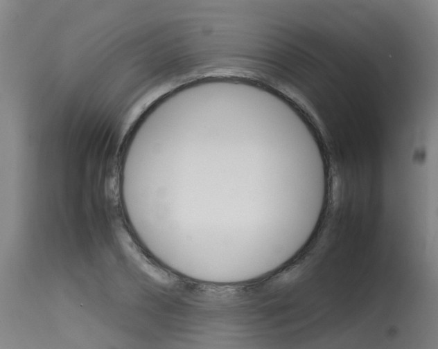 X0000115580882200911100951