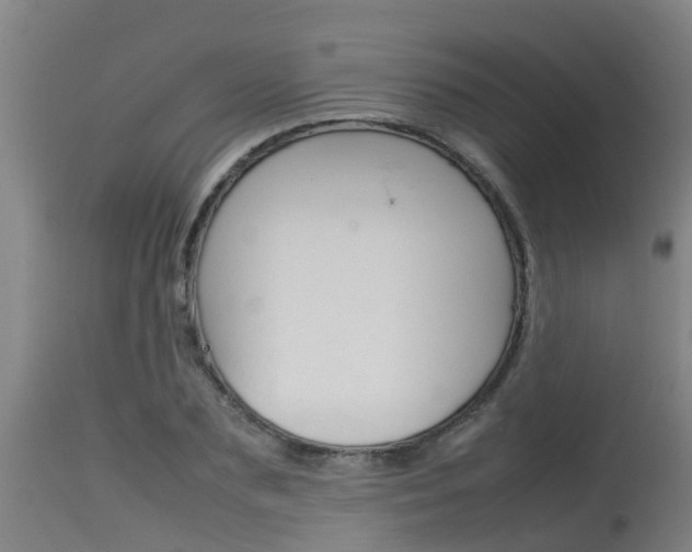 X0000115580883200911100951