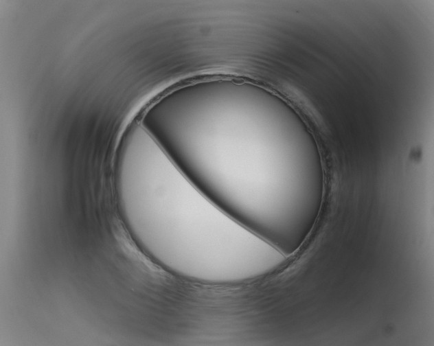 X0000115580884200911100951