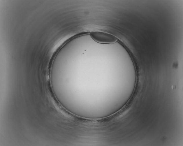 X0000115580885200911100951
