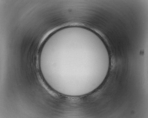 X0000115580886200911100951