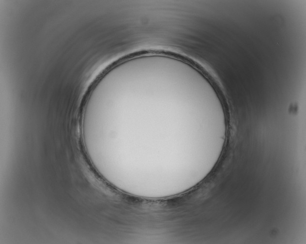 X0000115580887200911100951