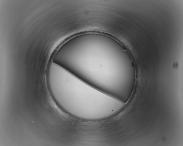 X0000115580888200911100951