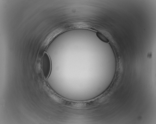 X0000115580889200911100951