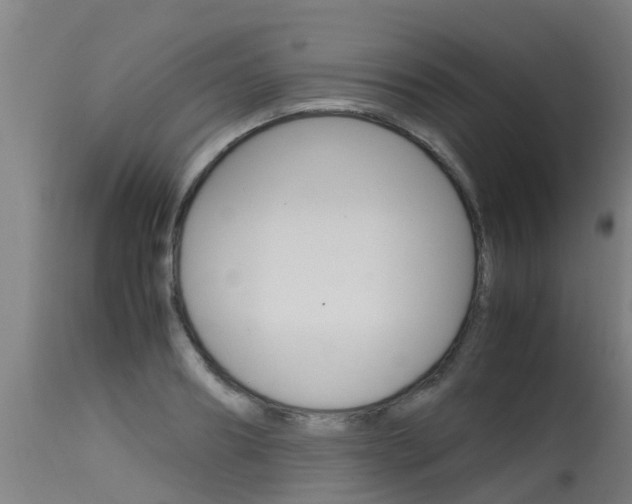 X0000115580890200911100951