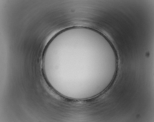 X0000115580891200911100951