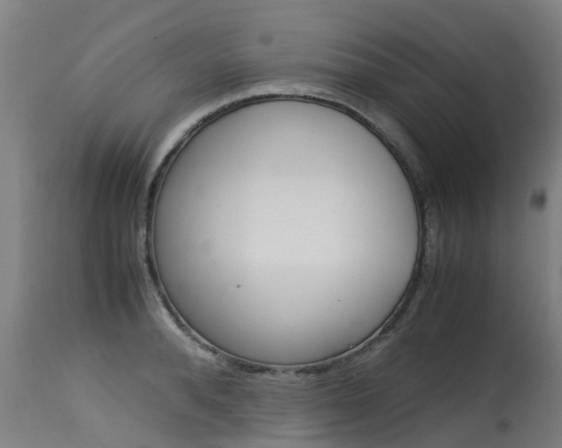 X0000115580896200911100951
