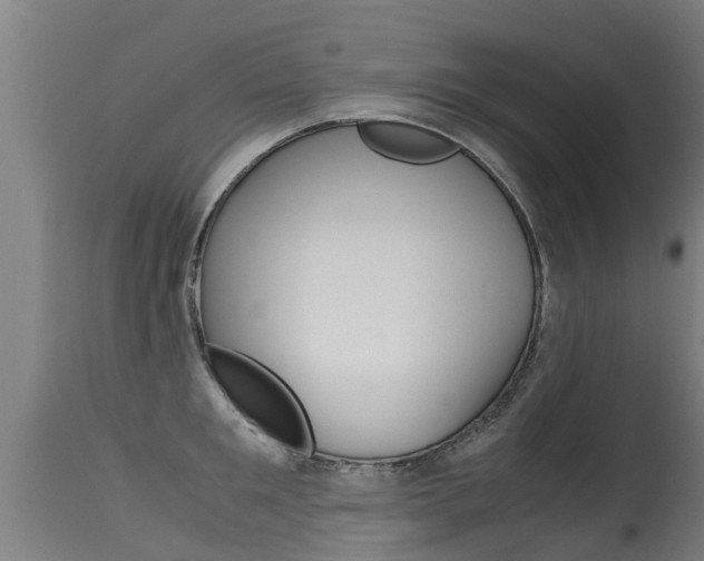 X0000115580901200911100951