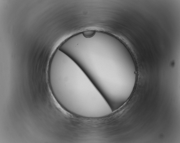 X0000115580902200911100951