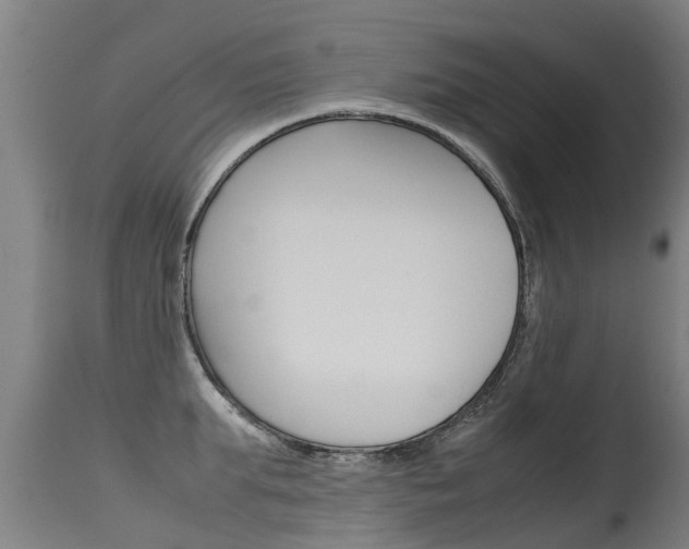X0000115580903200911100951