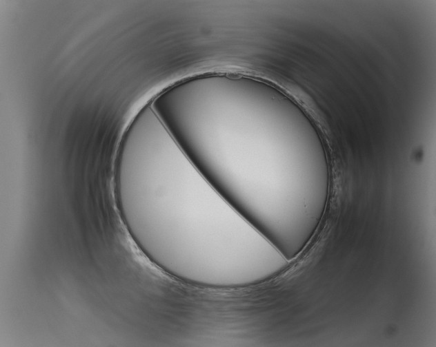 X0000115580904200911100951