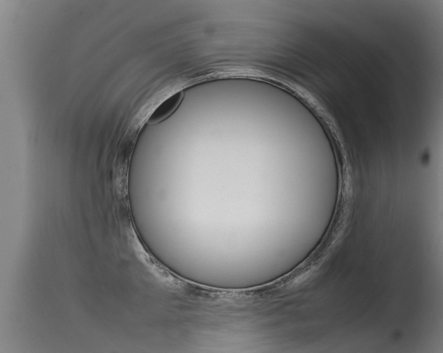 X0000115580905200911100951