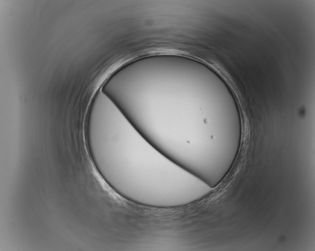 X0000115580909200911100951