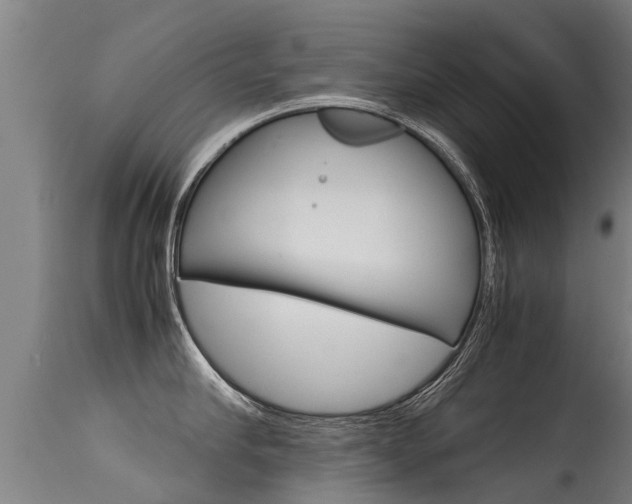 X0000115580910200911100951