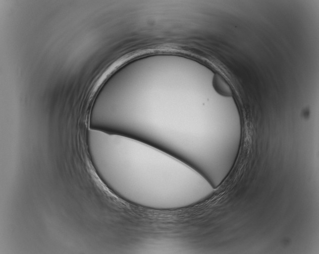 X0000115580911200911100951