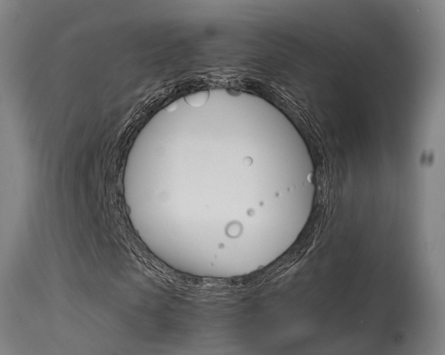 X0000115580913200911100950