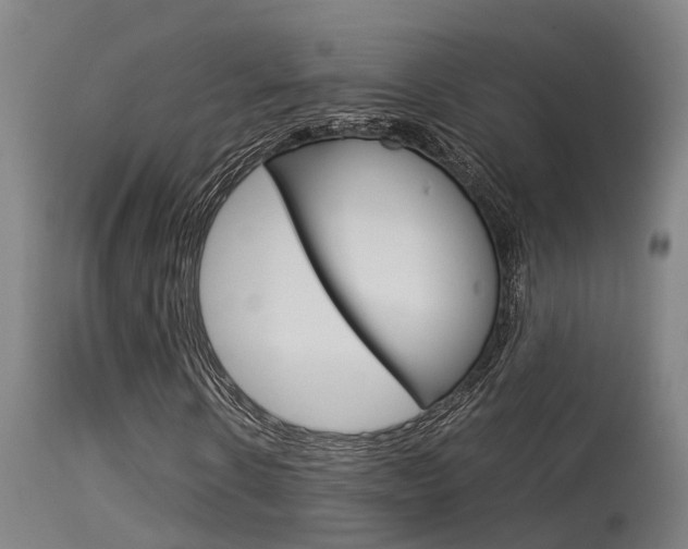 X0000115580914200911100950