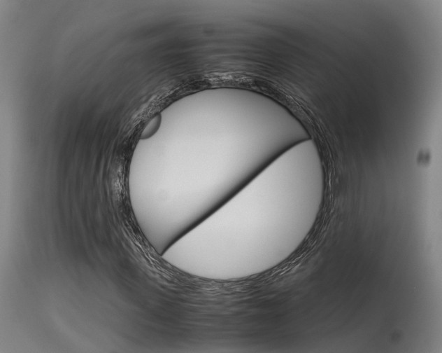 X0000115580915200911100950
