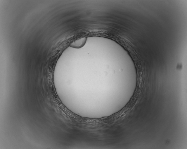 X0000115580917200911100950