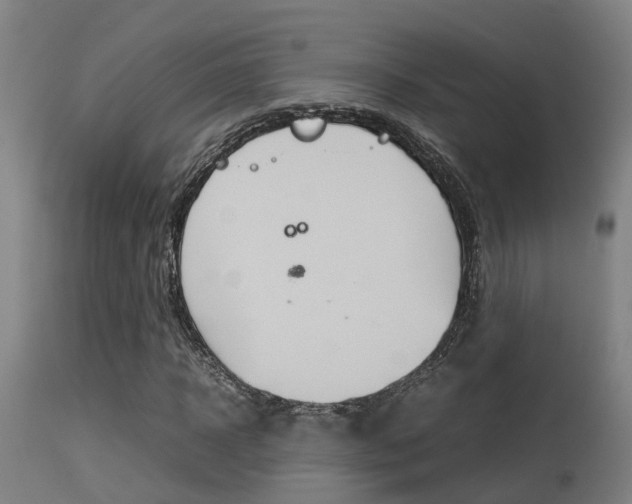 X0000115580918200911100950