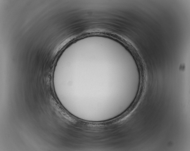 X0000115580921200911100950