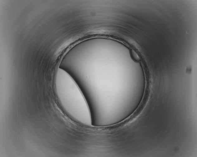 X0000115580922200911100950