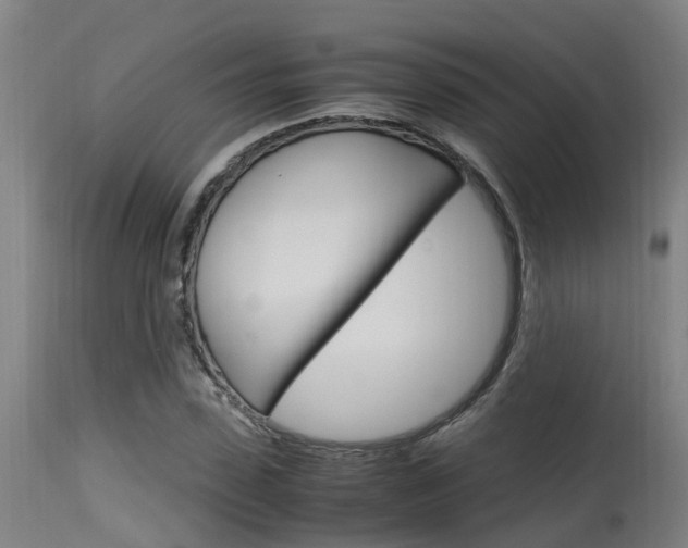 X0000115580923200911100950