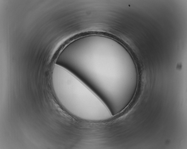 X0000115580926200911100950
