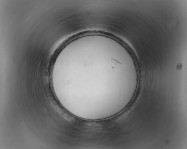 X0000115580927200911100950