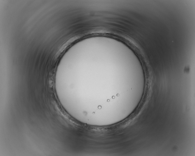 X0000115580929200911100950