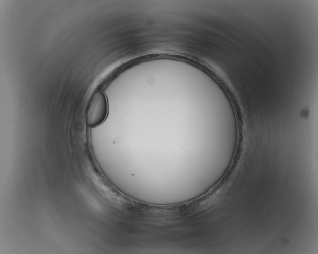 X0000115580931200911100950