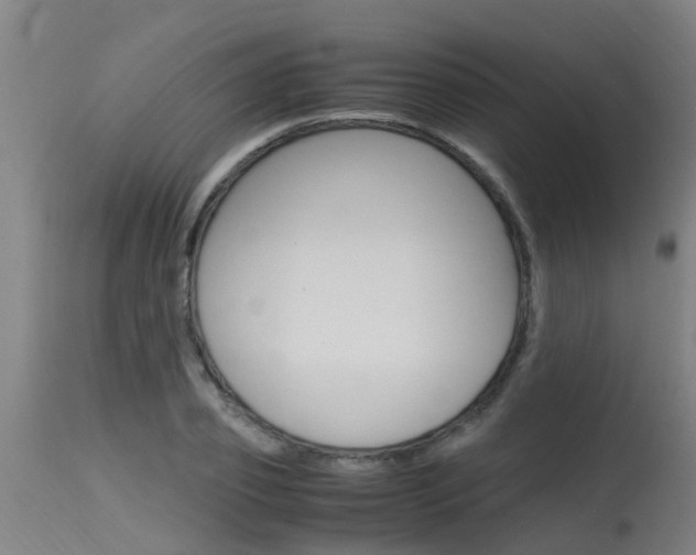 X0000115580933200911100951