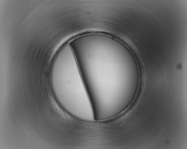 X0000115580934200911100951