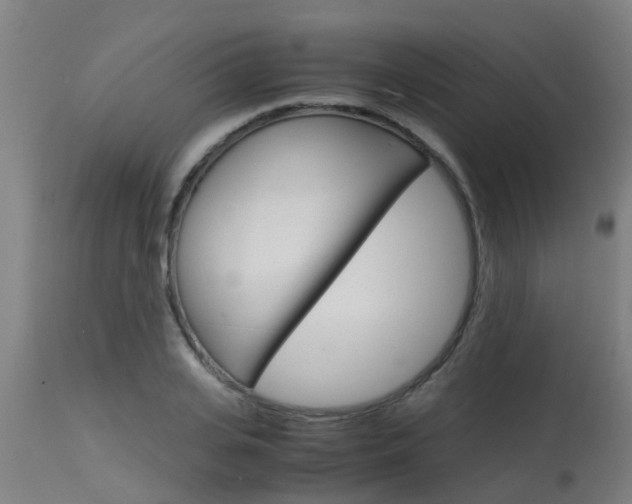X0000115580935200911100951