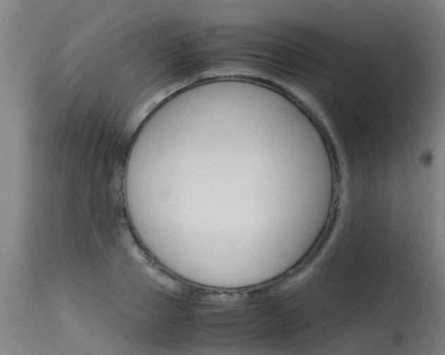 X0000115580937200911100951