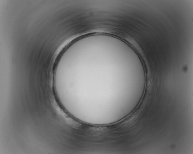 X0000115580939200911100951