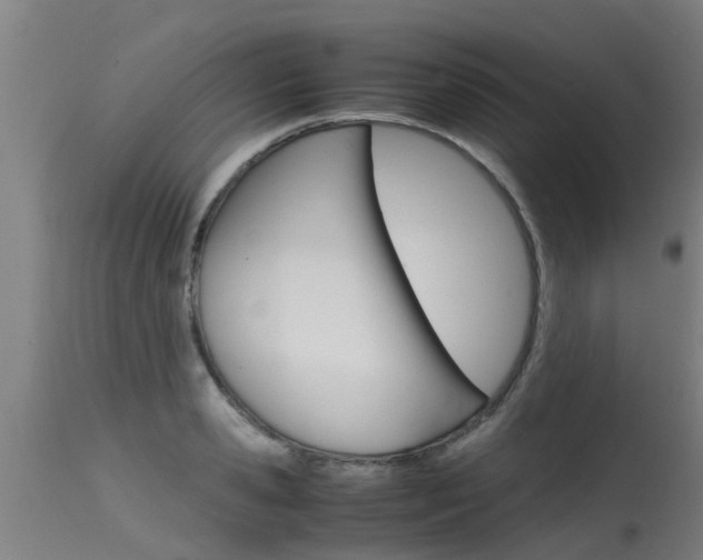X0000115580941200911100951