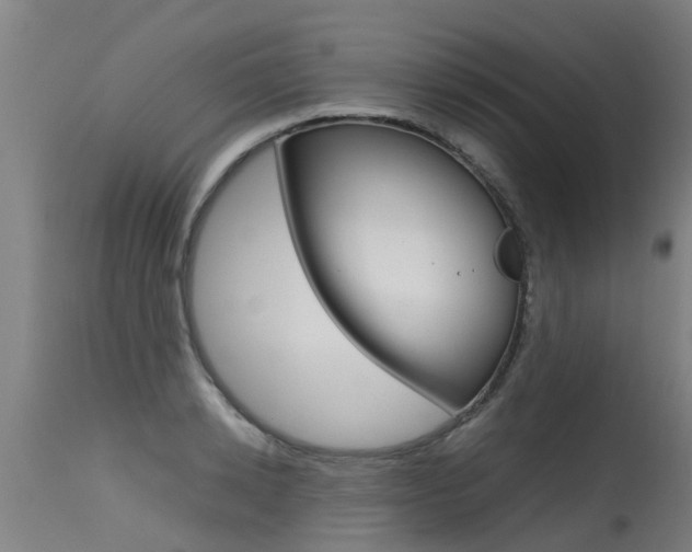 X0000115580942200911100951