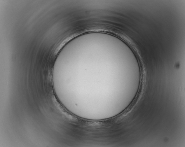 X0000115580945200911100951