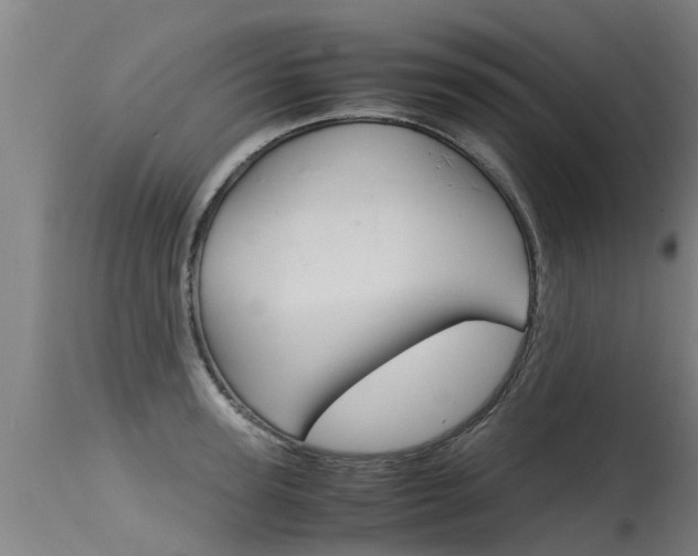X0000115580947200911100951