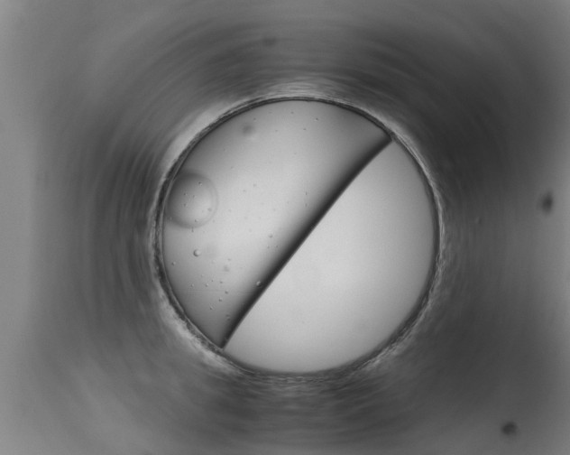X0000115580949200911100951