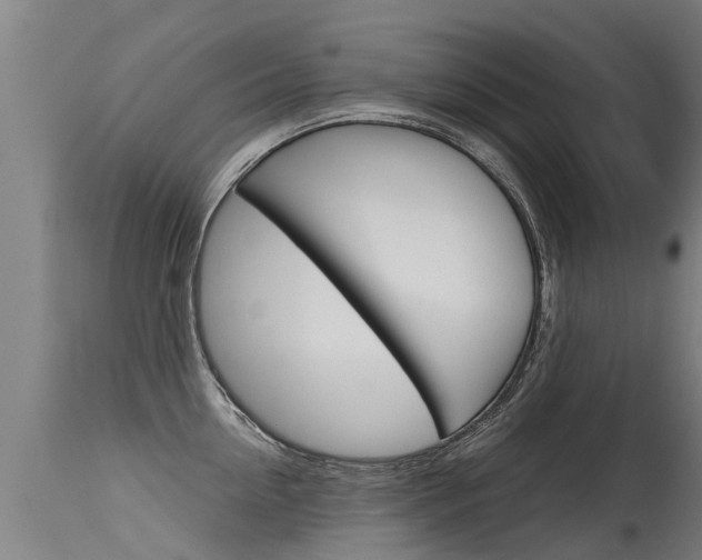 X0000115580954200911100951