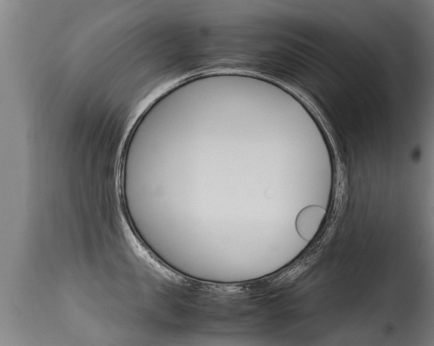X0000115580957200911100951
